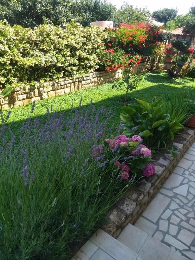 Zelena Oaza Apartment Novigrad Istria Esterno foto